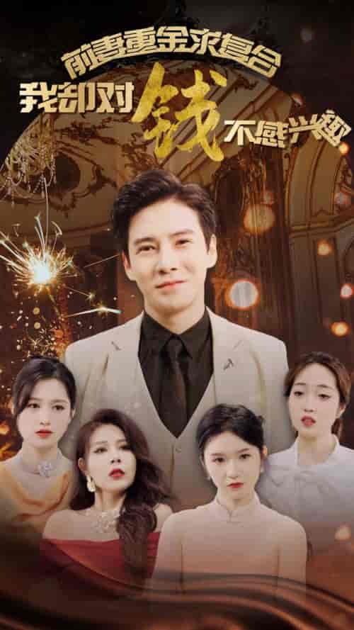 前妻重金求复合我却对钱不感兴趣(100集全)李子锋-紫橙资源网