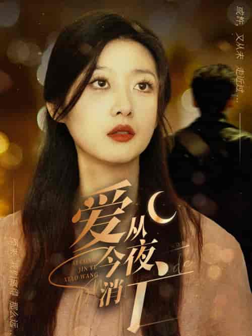 爱从今夜消亡（70集）-紫橙资源网