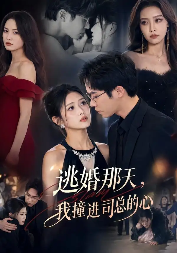 逃婚那天我撞进司总的心（61集）余容＆张予晴-紫橙项目网