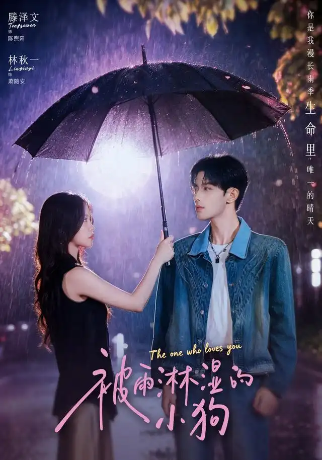 被雨淋湿的小狗(80集)林秋一&滕泽文(1080P)-紫橙资源网