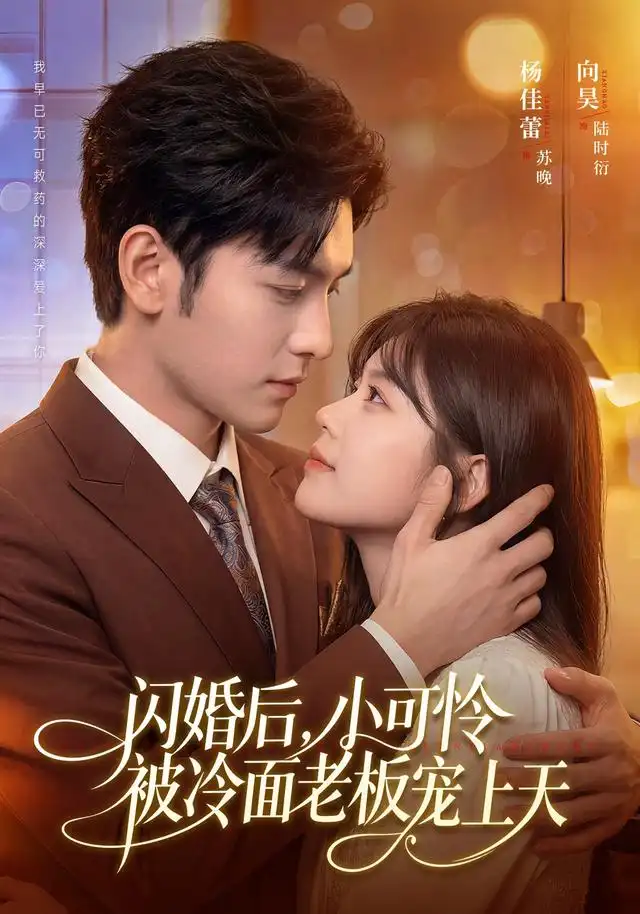 闪婚后小可怜被冷面老板宠上天(87集)杨佳蕾&向昊(1080P)-紫橙资源网