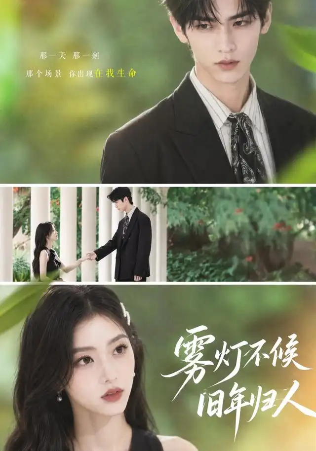 雾灯不候旧年归人（50集）-紫橙项目网