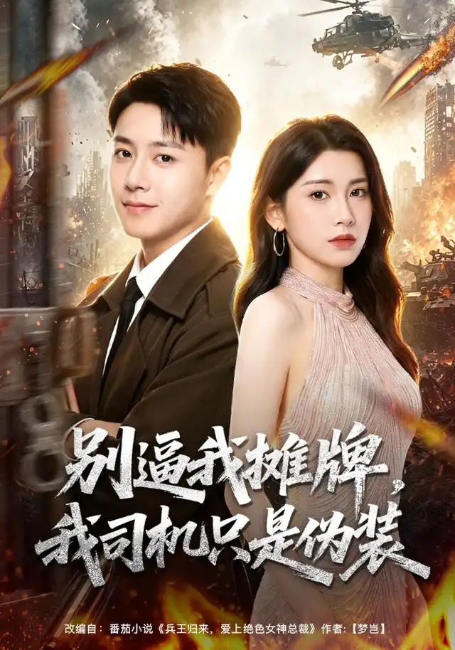 别逼我摊牌我司机只是伪装(80集)汪克强&田诗园&李继军&卢晟(1080P)-紫橙资源网