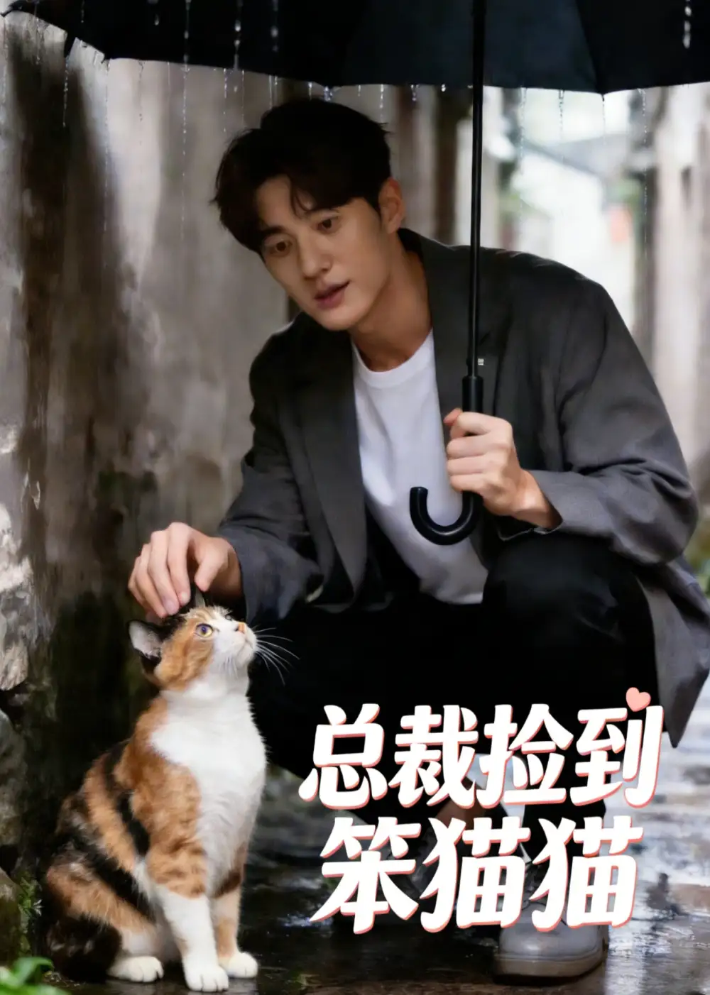 总裁捡到笨猫猫(41集)-紫橙项目网