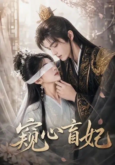 窥心盲妃（49集）-紫橙资源网