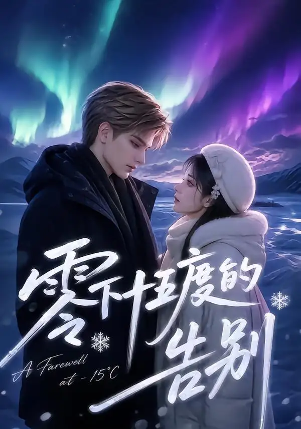 零下十五度的告别(56集)-紫橙项目网