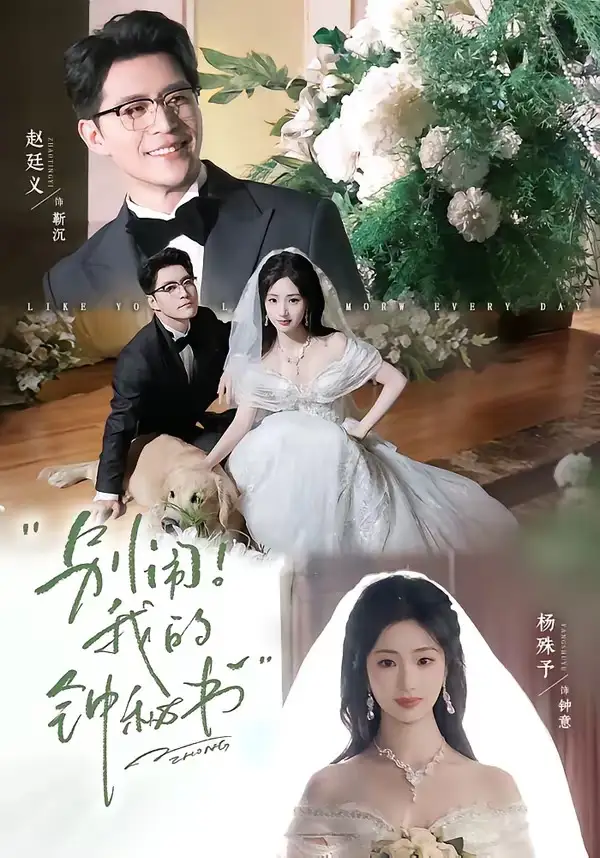 别闹我的钟秘书(84集)杨殊予&赵廷义(1080P)-紫橙资源网