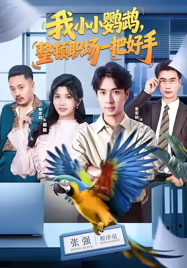 我小小鹦鹉整顿职场一把好手(62集)朱宏钊&林念初&周伟&负辰鑫-紫橙项目网