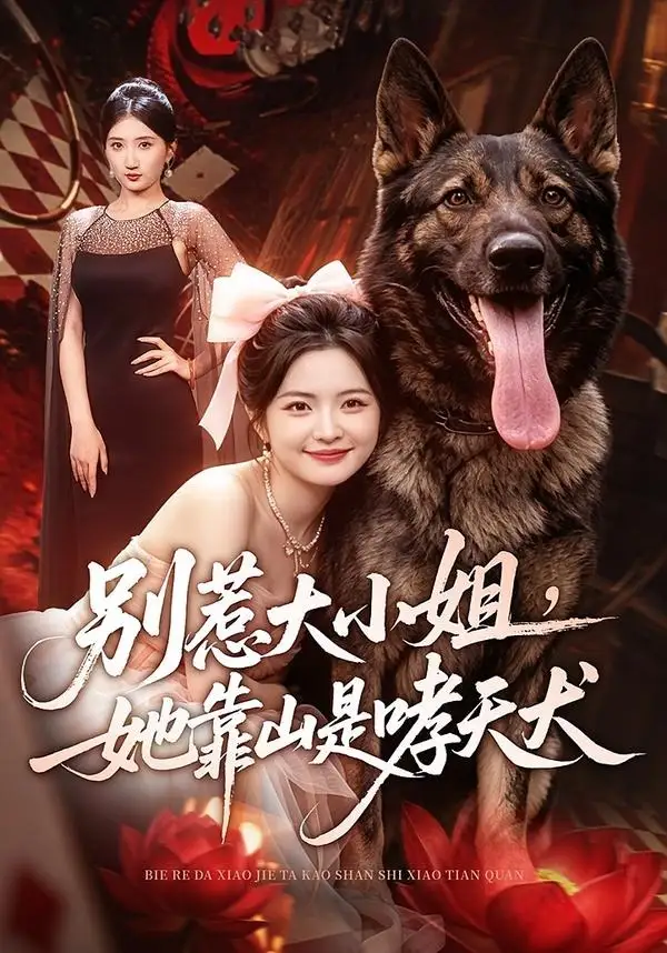 别惹大小姐她靠山是哮天犬(86集)常珂欣&刘继泽-紫橙项目网