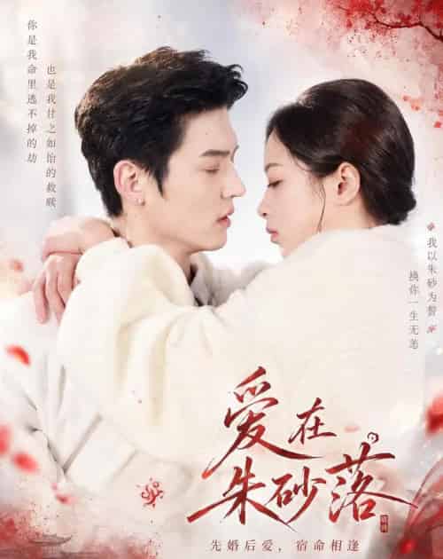 爱在朱砂落(40集全)高政&邓漫仪-紫橙资源网