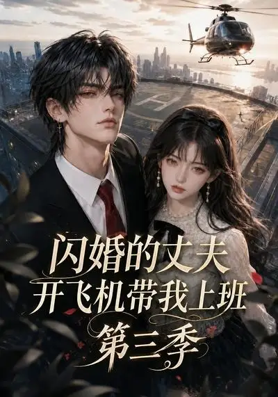 闪婚的丈夫开飞机带我上班第三季（112集）-紫橙资源网