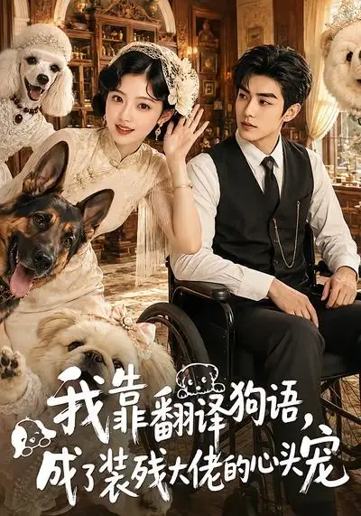我靠翻译狗语成了装残大佬的心尖宠（80集）-紫橙资源网