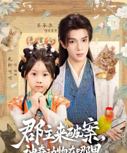 郡主来破案神奇动物在哪里(69集)蔡承源&龙轩可可-紫橙资源网