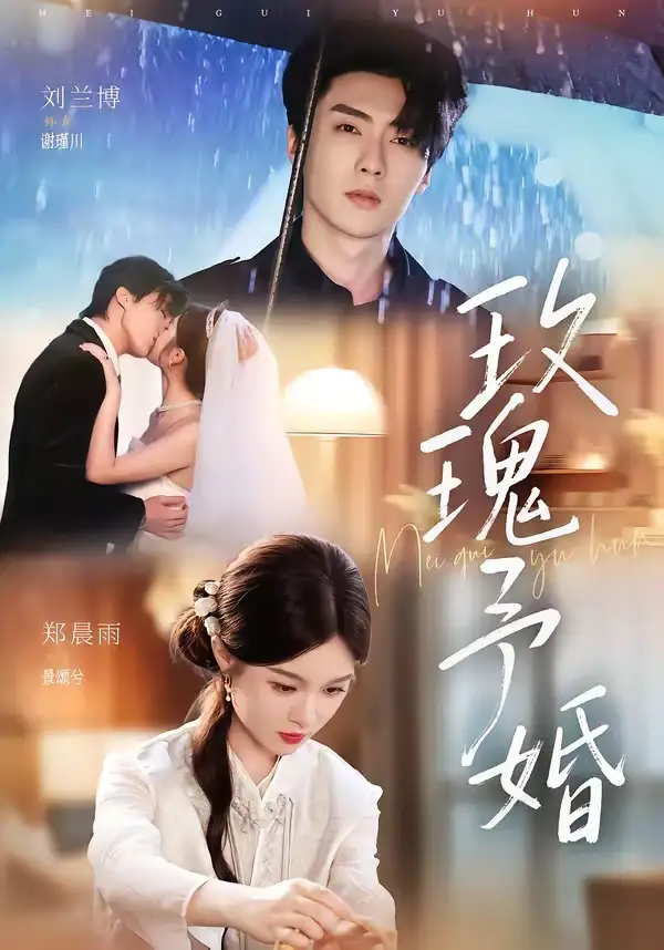 玫瑰予婚（68集）刘兰博＆郑晨雨（1080P）-紫橙资源网
