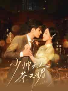 少帅夫人茶又媚（93集）朱茉颜-紫橙资源网