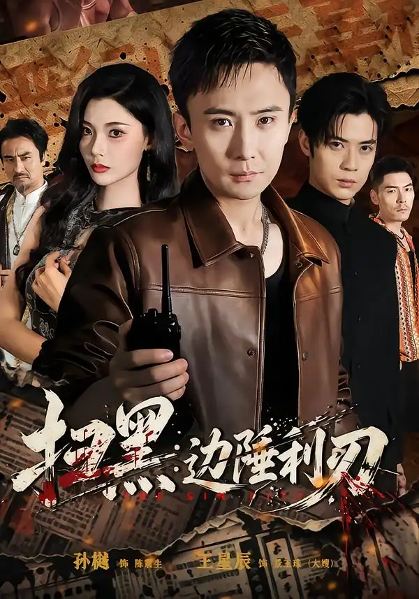扫黑边陲利刃（73集）孙樾＆王星辰（1080P）-紫橙资源网