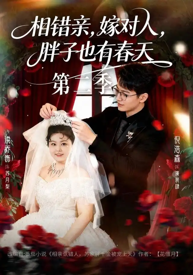 相错亲嫁对人,胖子也有春天第二季(82集)倪浩森&洪乔(1080P)-紫橙资源网