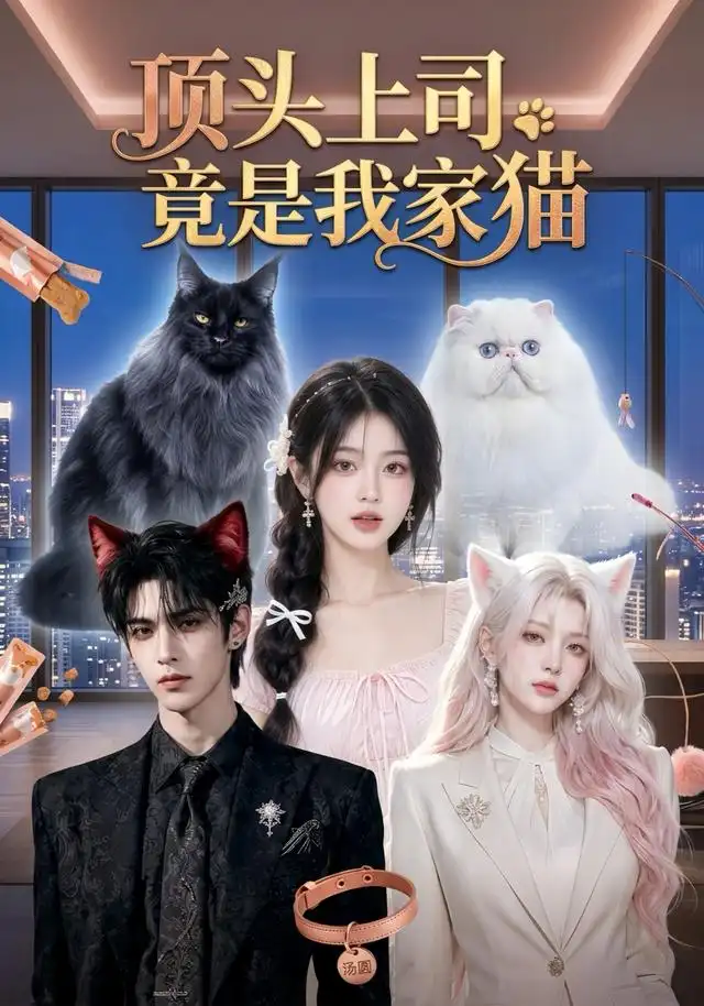 顶头上司竟是我家猫(34集)AI短剧-紫橙项目网