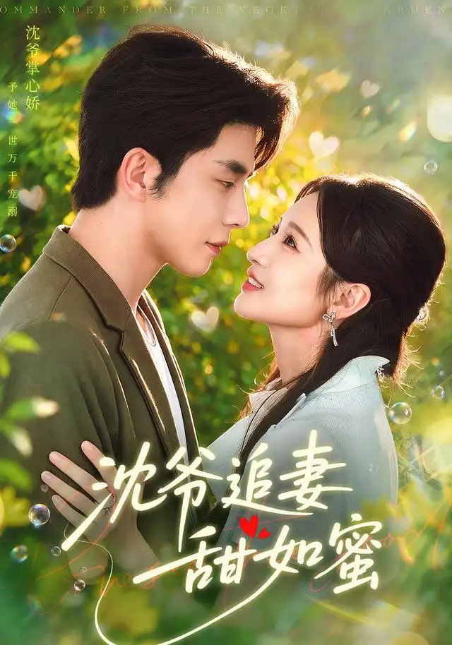 沈爷追妻甜如蜜(77集)秦琛琛&戚羽佳-紫橙项目网