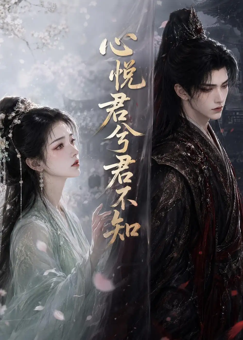 心悦君兮君不知(112集)-紫橙项目网