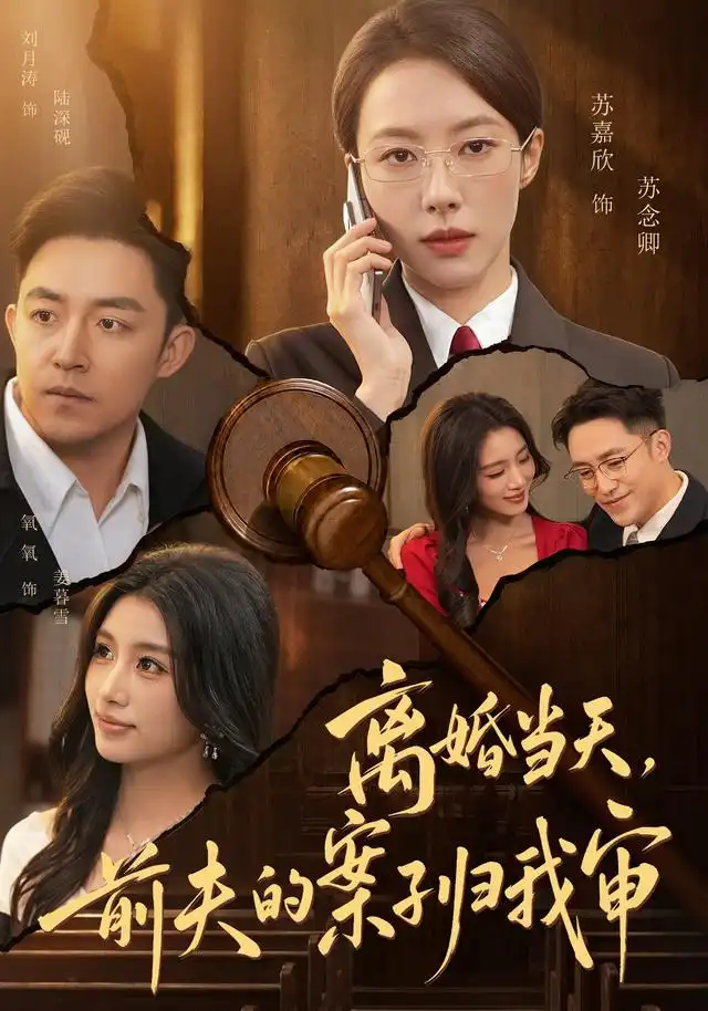 离婚当天前夫的案子归我审(63集)苏嘉欣&刘月涛-紫橙项目网