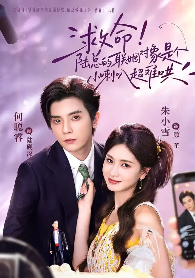 救命陆总的联姻对象是个小喇叭超难哄（62集）何聪睿＆朱小雪-紫橙项目网
