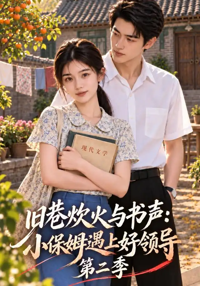 旧巷烟火与书声小保姆遇上好领导第二季（100集）-紫橙项目网