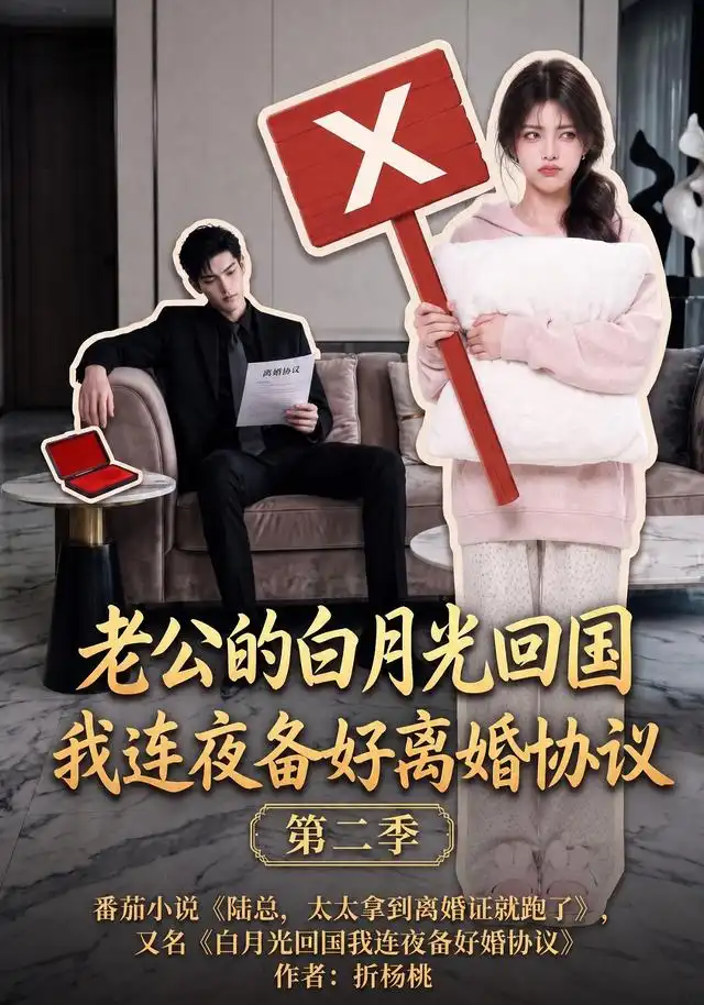 老公的白月光回国我连夜备好离婚协议第二季（165集）-紫橙项目网