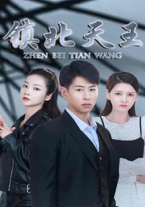 镇北天王（87集） - 紫橙短剧