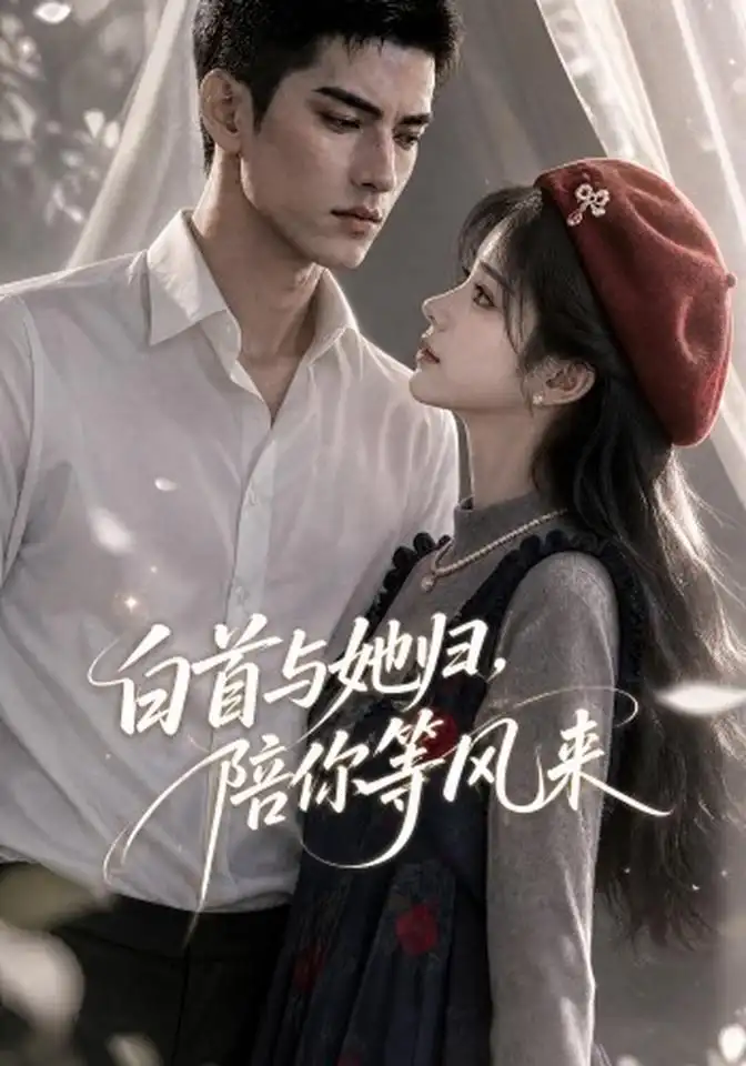 白首与她归陪你等风来（407集）-紫橙项目网