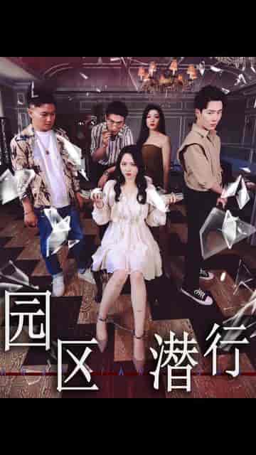缅北第一女战神（88集）-紫橙资源网