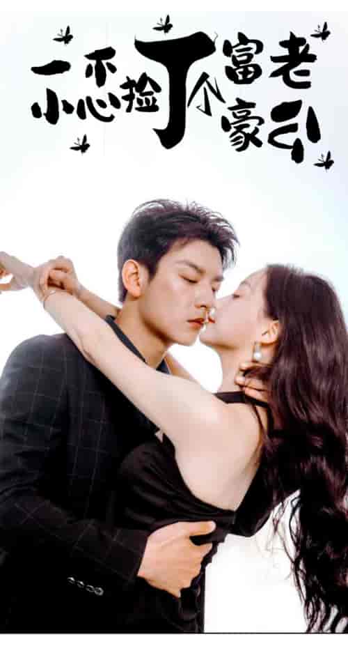 一不小心捡了个富豪老公（90集）-紫橙资源网