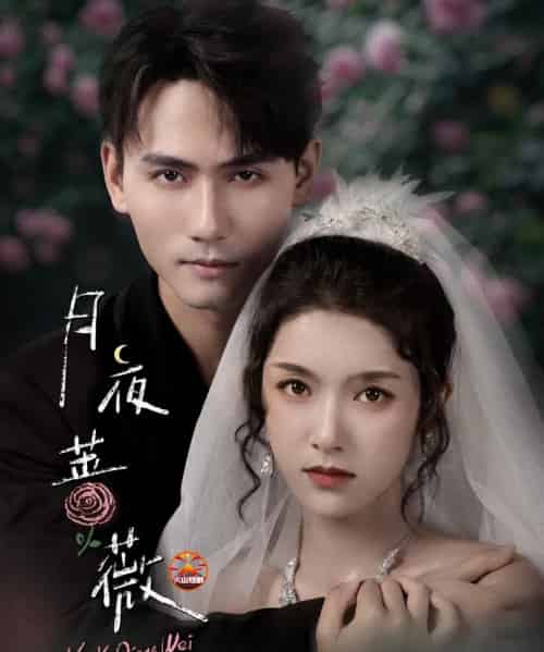 月夜蔷薇（72集全）谢予望＆卢鹿鹿-紫橙资源网