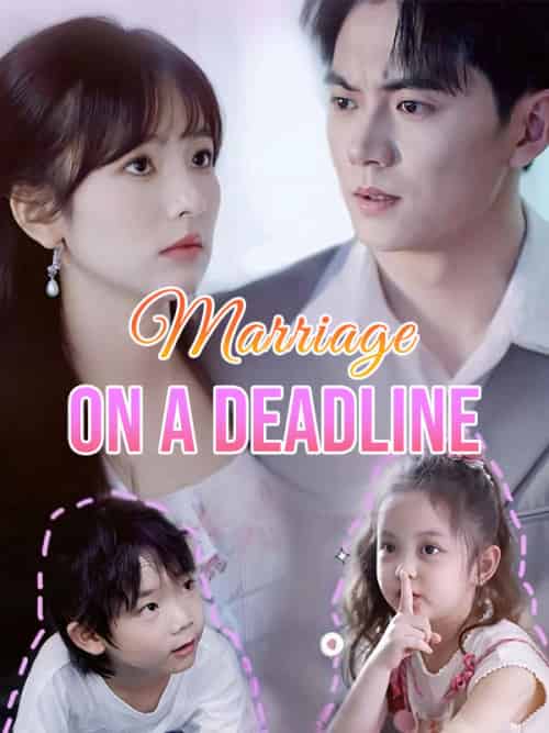 Marriage on a Deadline(80集全)Ray&Kane&&Clara&West-紫橙资源网