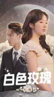 白色玫瑰（80集）-紫橙资源网