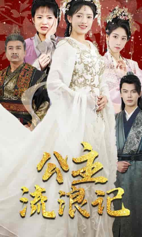 公主流浪记（91集）-紫橙资源网