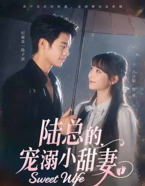 陆总的宠溺小甜妻（61集全）纪俊良＆吕丹妮-紫橙资源网
