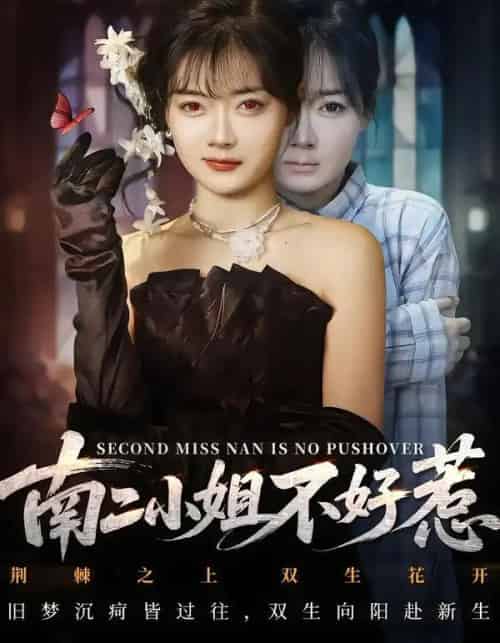 南二小姐不好惹（65集全）聂基坤＆林鹿-紫橙资源网