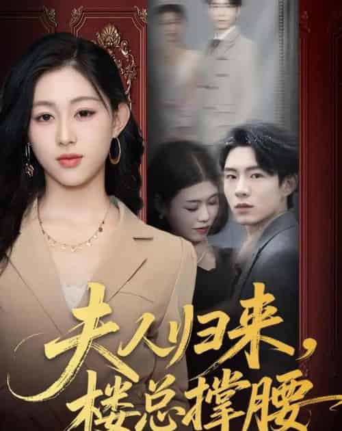 夫人归来,楼总撑腰(80集全)荣玉岩&刘允甜-紫橙资源网