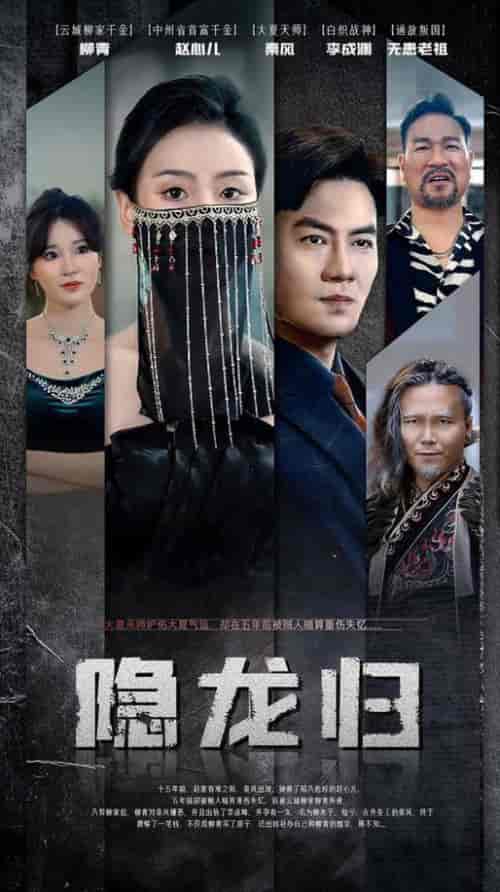 隐龙归（80集）-紫橙资源网