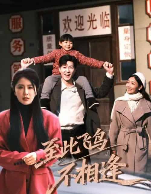 至此飞鸟不相逢（70集全）丁海霞＆王鹏-紫橙资源网