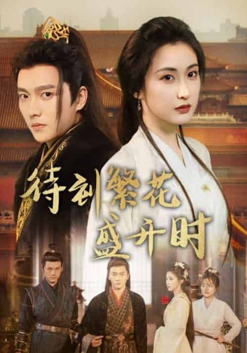 待到繁花盛开时（34集全）桓九渊＆季希-紫橙资源网