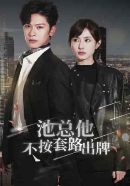 池总他不按套路出牌（100集）-紫橙资源网