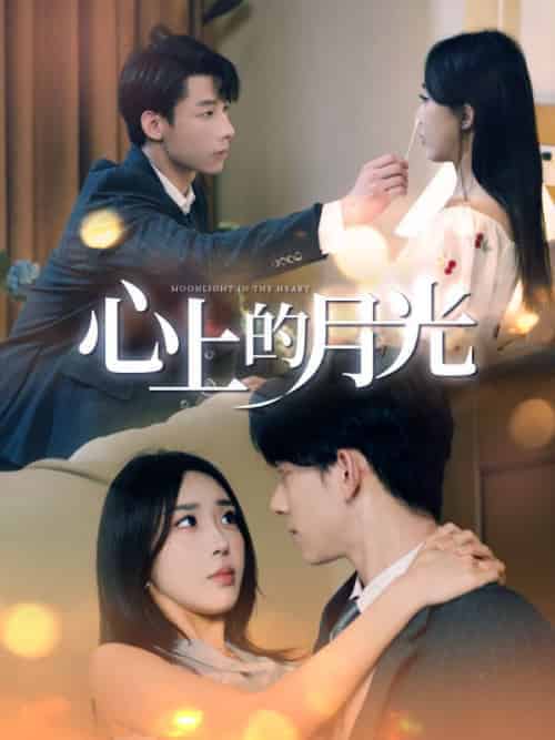 心上的月光（100集全）邢北琛＆许晚橙-紫橙资源网