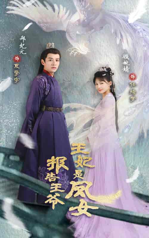报告王爷王妃是凤女（78集）-紫橙资源网