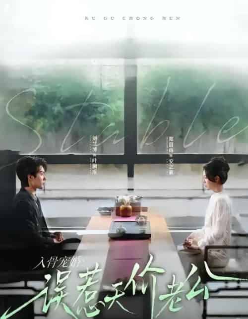 入骨宠婚:误惹天价老公(79集全)刘兰博&郑晨雨-紫橙资源网