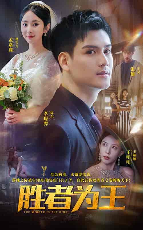 胜者为王（93集全）孟佳鑫-紫橙资源网