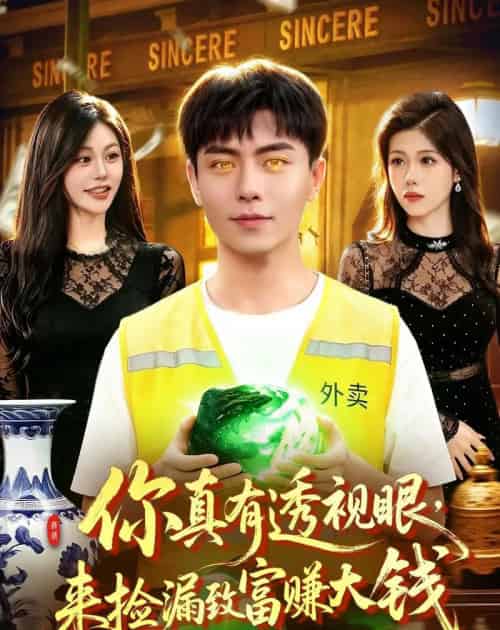 你真有透视眼，来捡漏致富赚大钱（90集全）张闻宇＆唐紫怡-紫橙资源网
