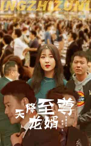 天降至尊龙婿（165集）-紫橙资源网