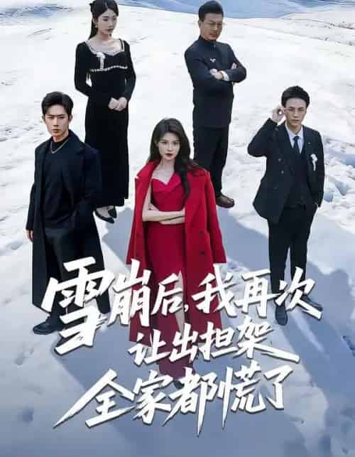 雪崩后，我再次让出担架全家都慌了（61集全）程晨＆黄子珺-紫橙资源网